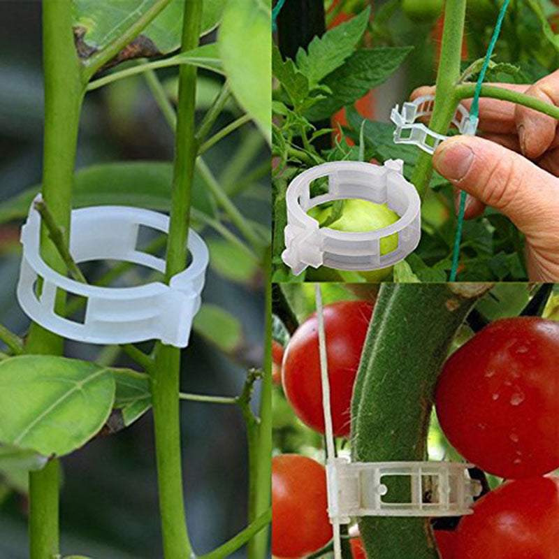 🍅🍅【600 ks.】🌱Plastový klip na rastliny podpora popínavých a viazanie vetiev