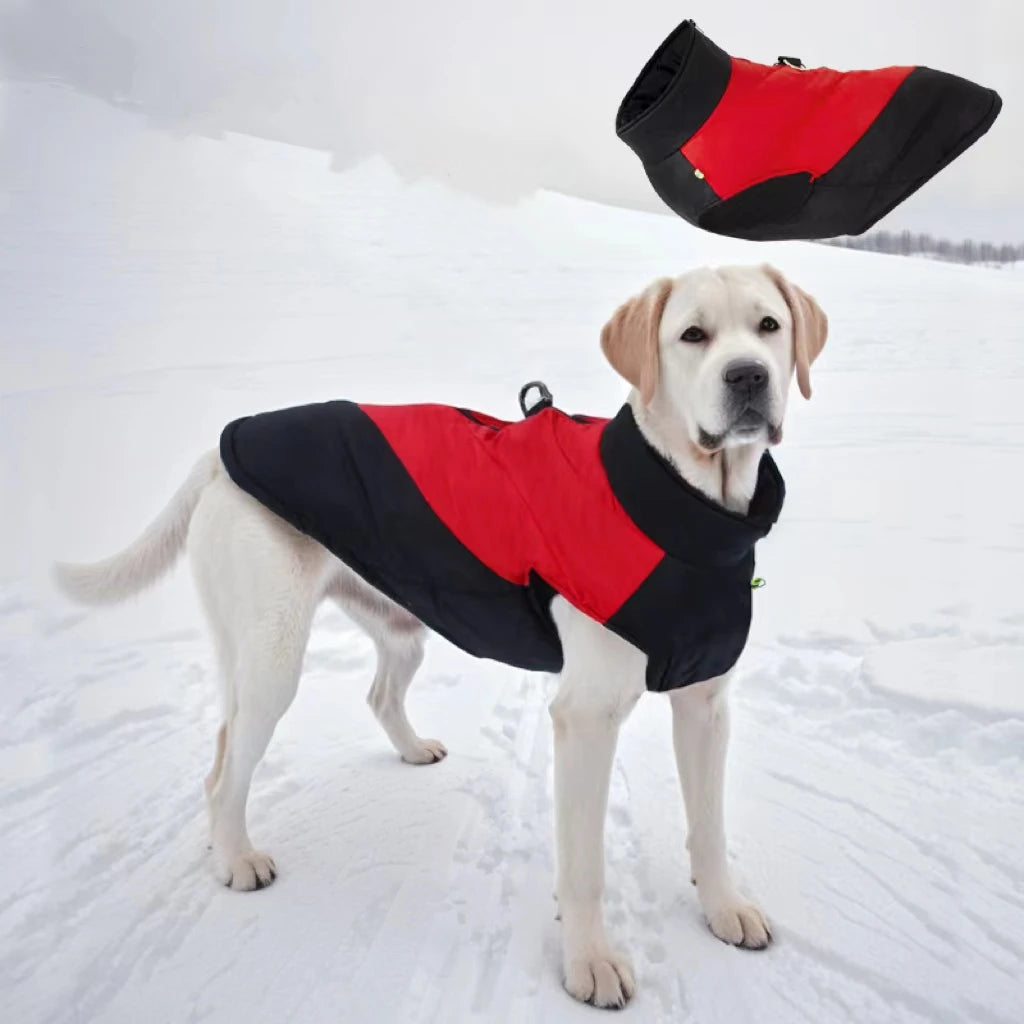 🐕🦺👕Nové oblečenie pre domáce zvieratá, zahustená bavlnená vesta, teplá a odolná voči chladu